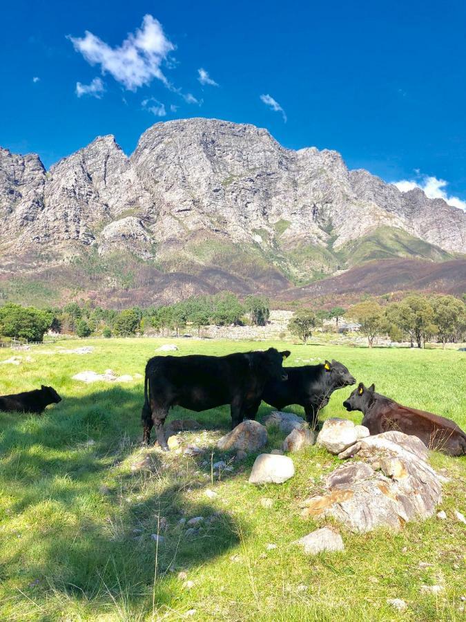 منزل الضيف فرانستشوك  في The Barn In Franschoek المظهر الخارجي الصورة