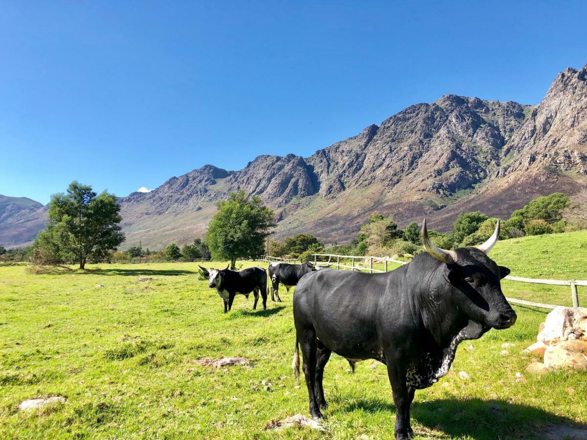 منزل الضيف فرانستشوك  في The Barn In Franschoek المظهر الخارجي الصورة